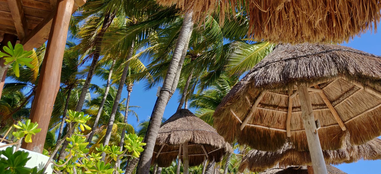 Ausblick Hotel Las Palapas