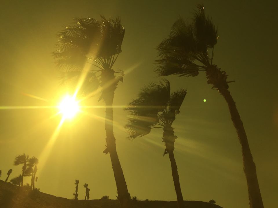 Ausblick Pickalbatros Citadel Resort