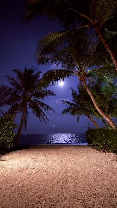 Ausblick Kuredu Island Resort & Spa