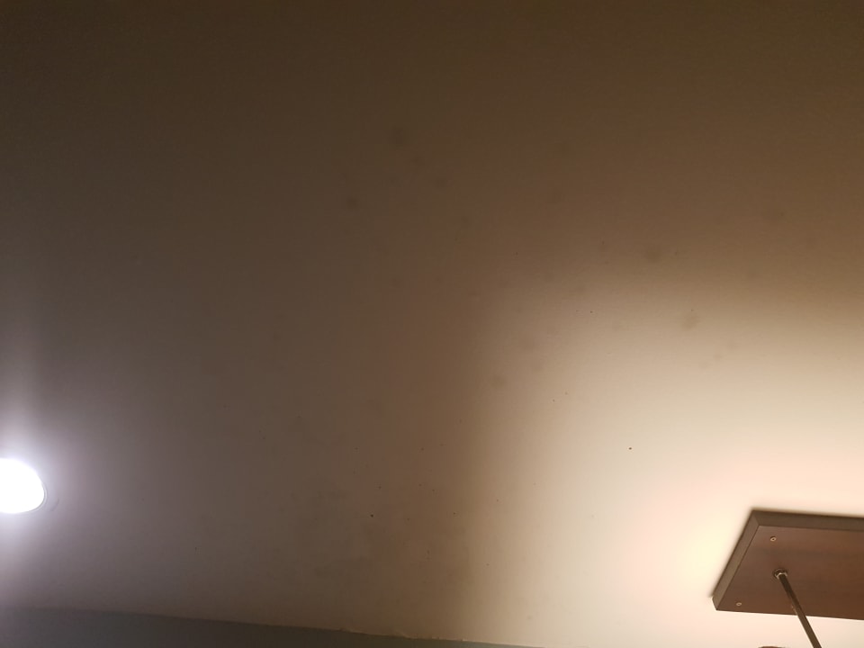 Zimmer The Green Park Resort