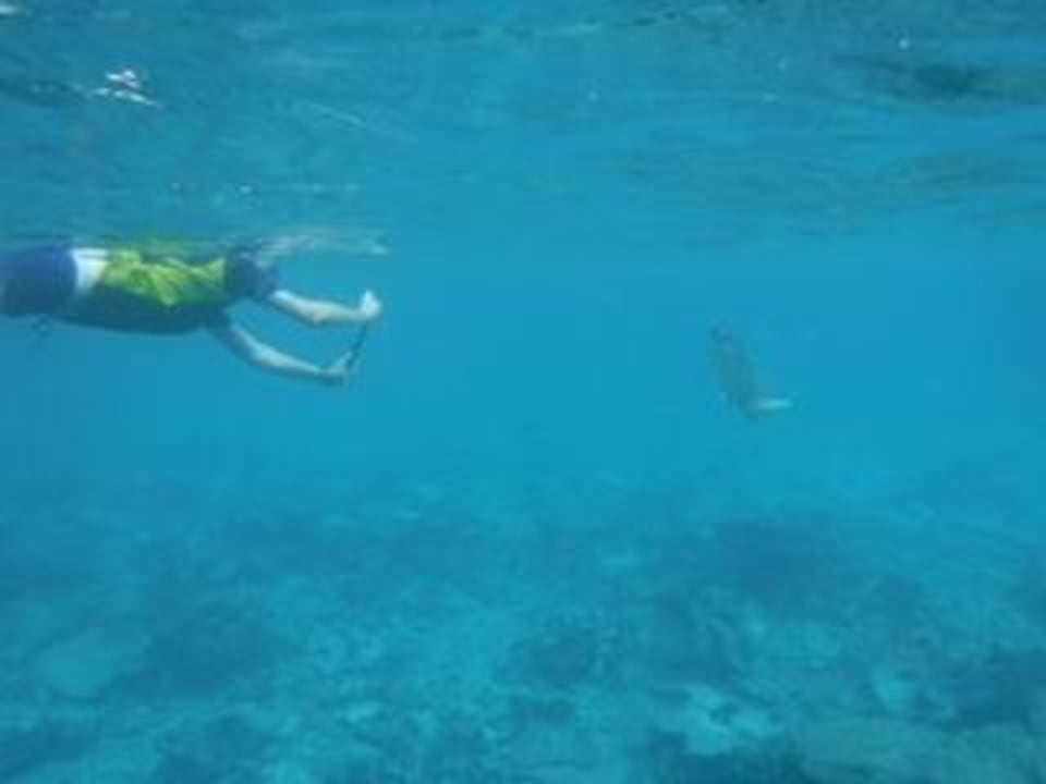 Auf dem Ausflug  Vilamendhoo Island Resort & Spa