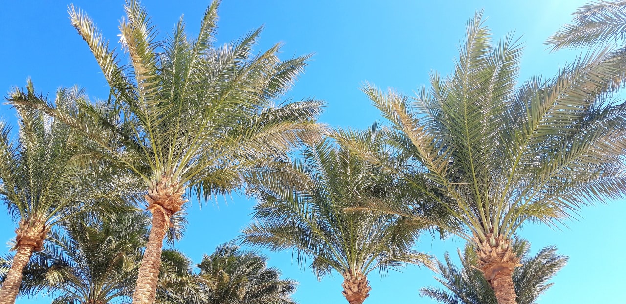 Pool Cleopatra Luxury Resort Makadi Bay