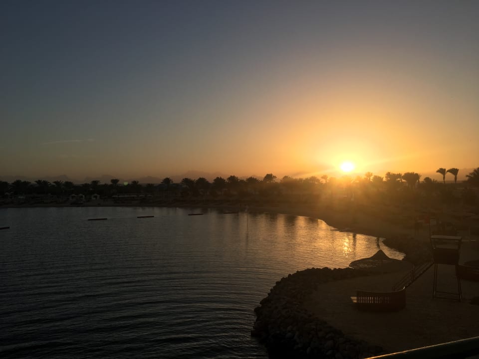 Ausblick Desert Rose