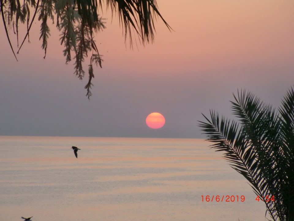 Zimmer Pickalbatros Citadel Resort