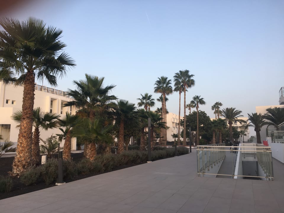 Gartenanlage Sentido Aequora Lanzarote Suite