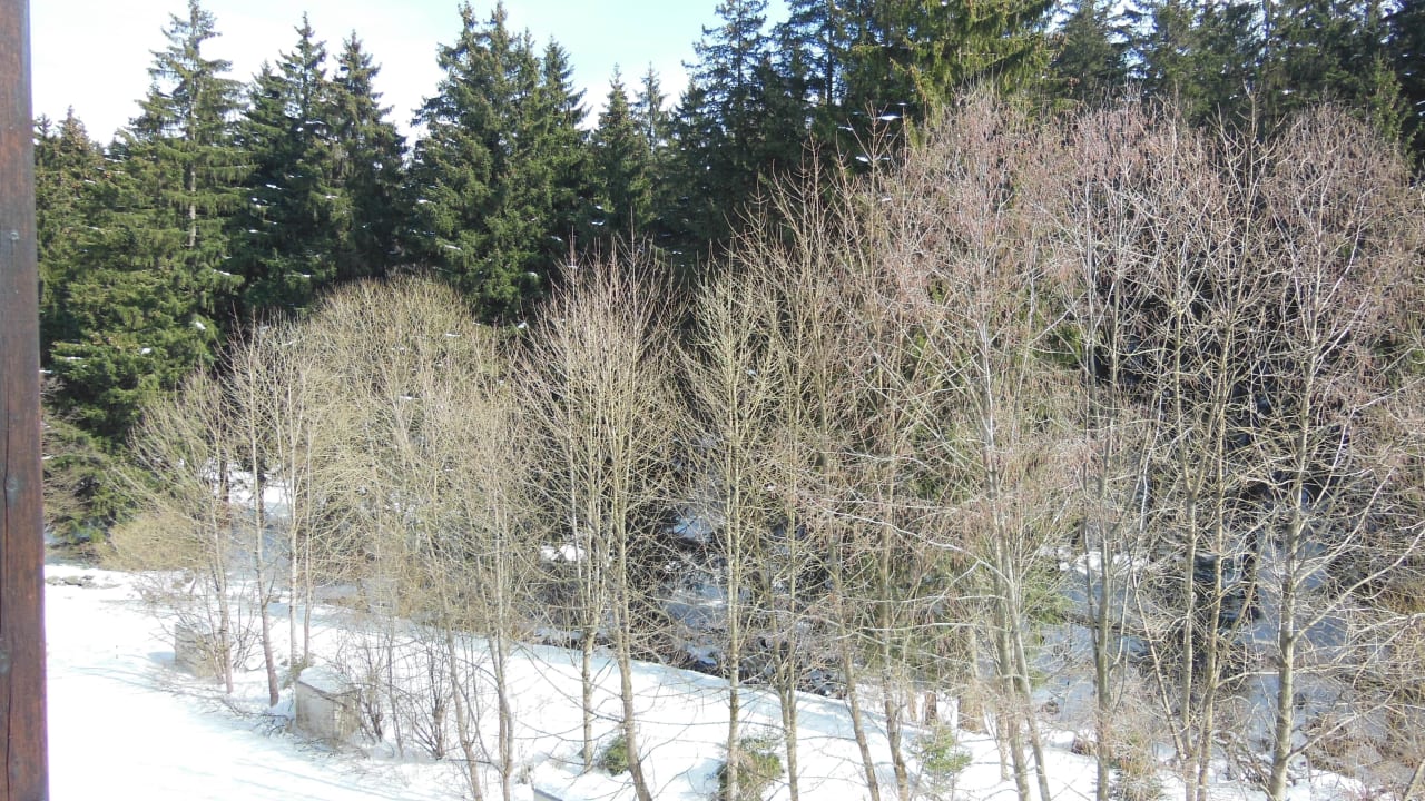 Unser Ausblick. Relexa Hotel Harz-Wald