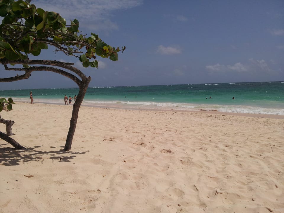 Weißer Strand Hotel Grand Palladium Palace Resort, Spa & Casino