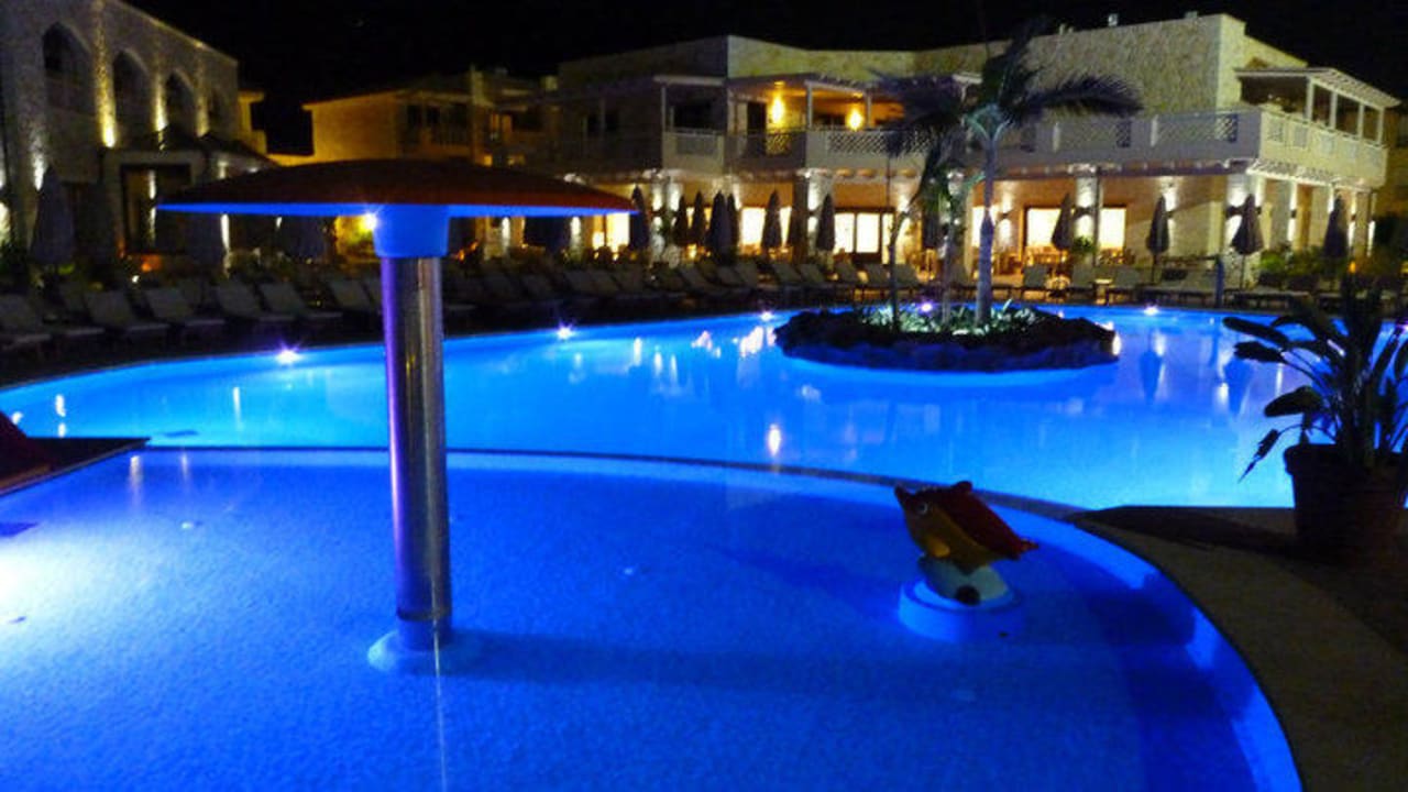 At night Cactus Royal