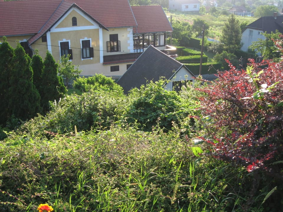 Haus Gizella Gästehaus Gizella