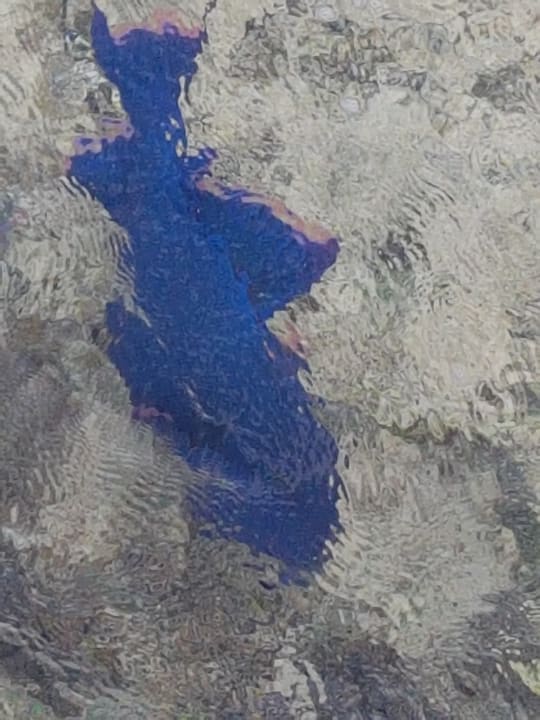 Strand Casa Mare Resort