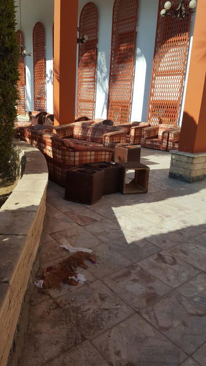Sonstiges Arabia Azur Resort