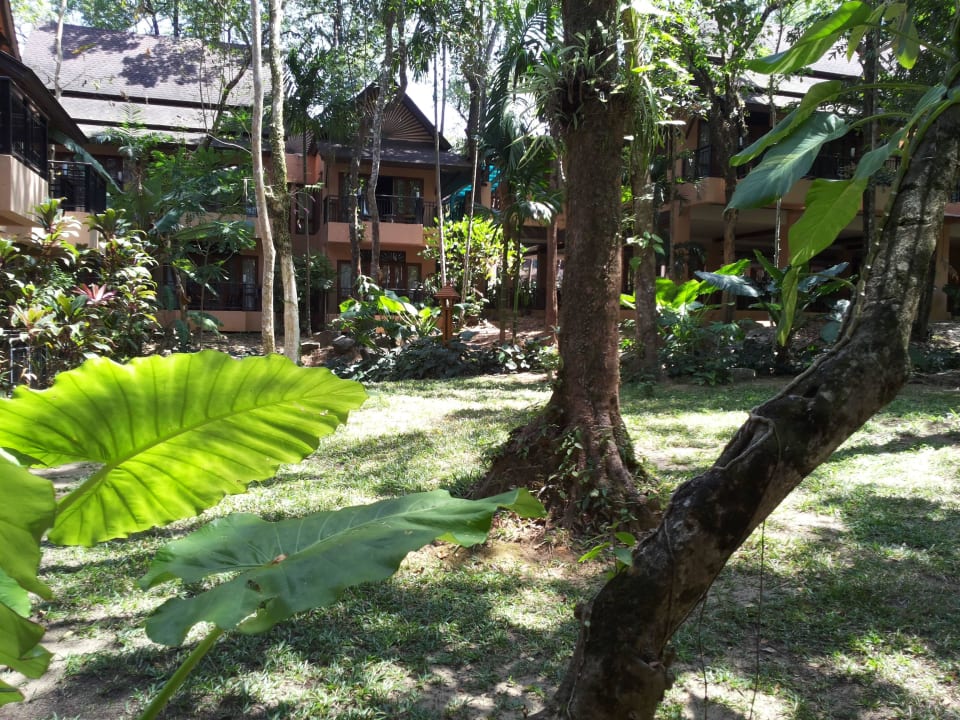 Gartenanlage mit sicht auf die Zimmer Khao Lak Merlin Resort