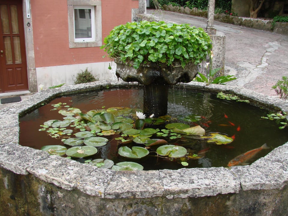 Фонтан с золотыми рыбками у входа Hotel Quinta Das Murtas