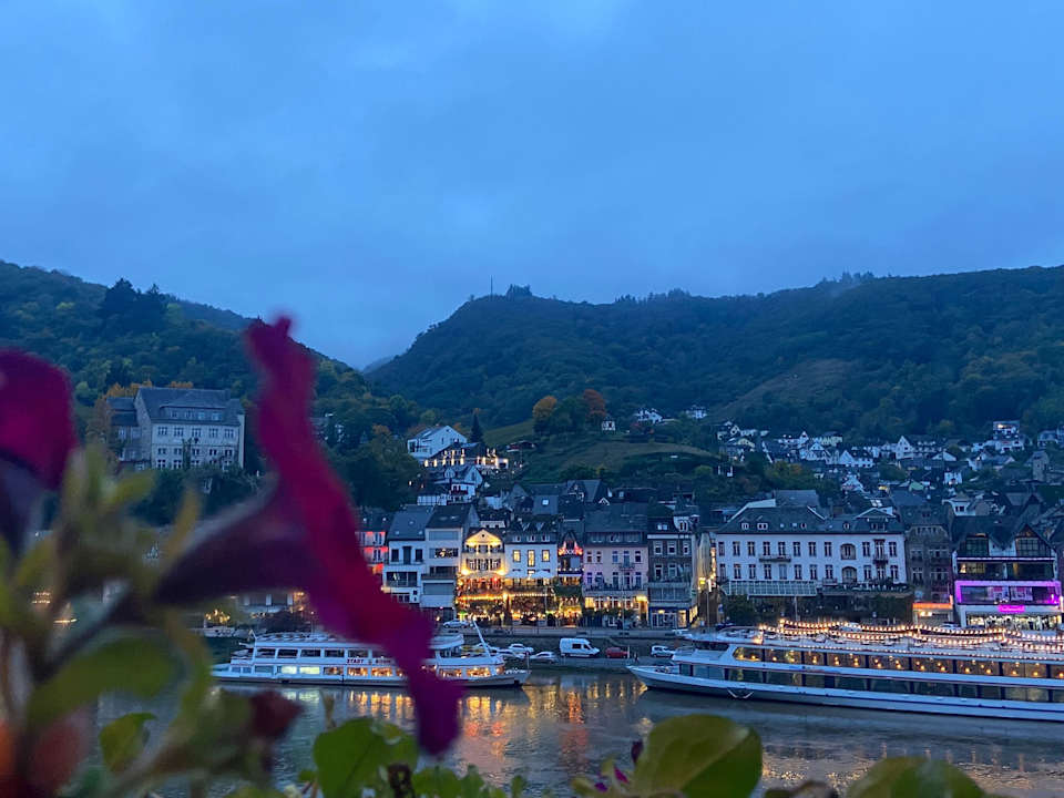 Ausblick Moselstern Hotel Brixiade & Triton