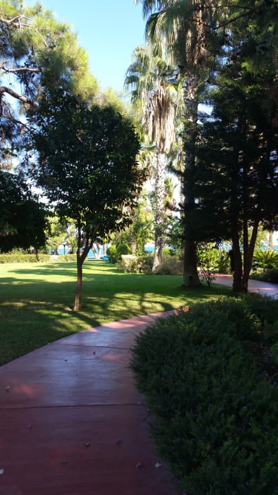 Gartenanlage TUI MAGIC LIFE Beldibi +16