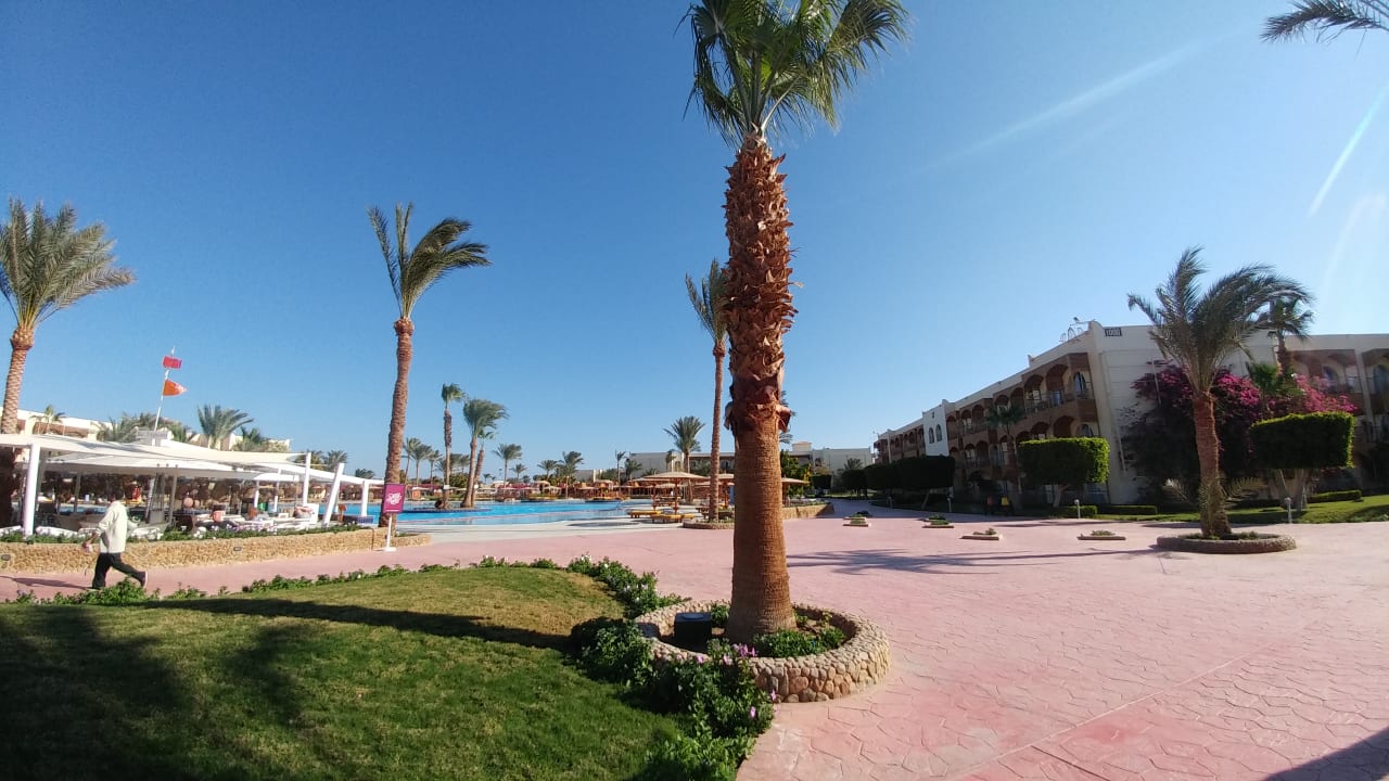 Gartenanlage Desert Rose