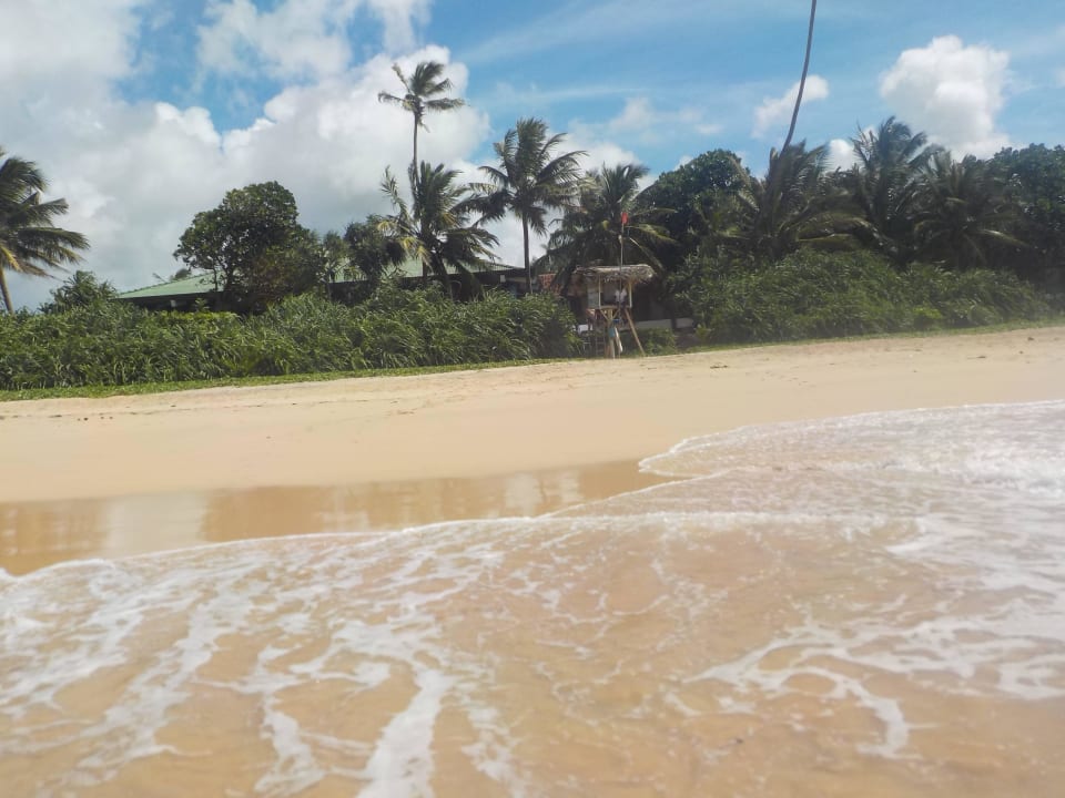 Blick vom Strand zum Hotel Hotel Koggala Beach