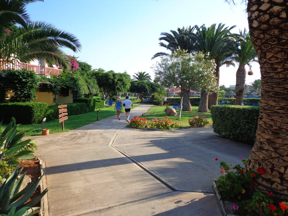 Wege durch Garten Anissa Beach & Village