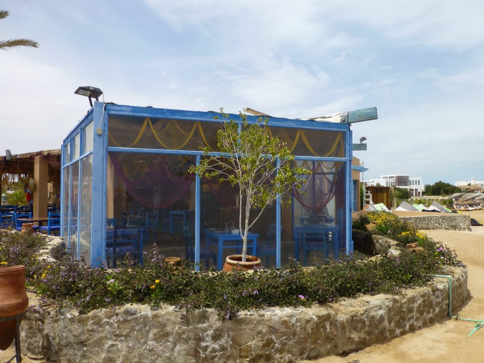 Fischrestaurant Morgan's Club Paradisio El Gouna, Red Sea