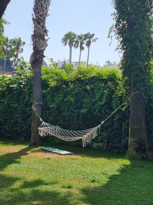 Gartenanlage Trendy Palm Beach (Adults Only, 16+)