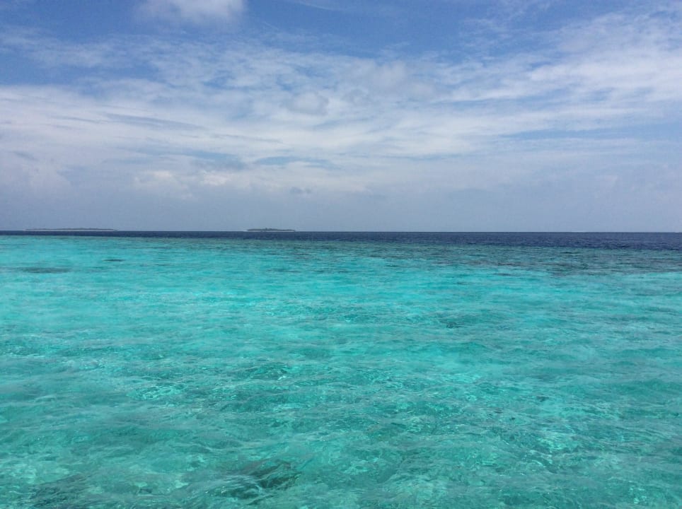 Korallen  Adaaran Select Meedhupparu Island Resort - Premium All Inclusive