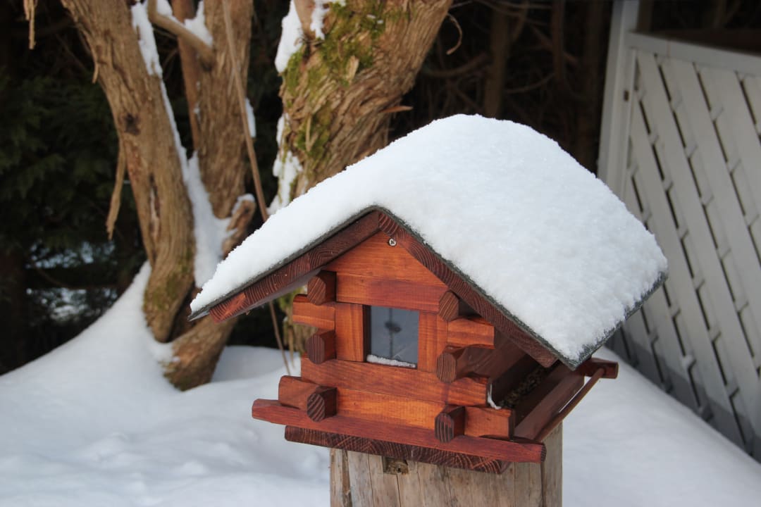 Gartenanlage Villa Relax - Ferienwohnungen mit Hallenbad & Relaxgarten