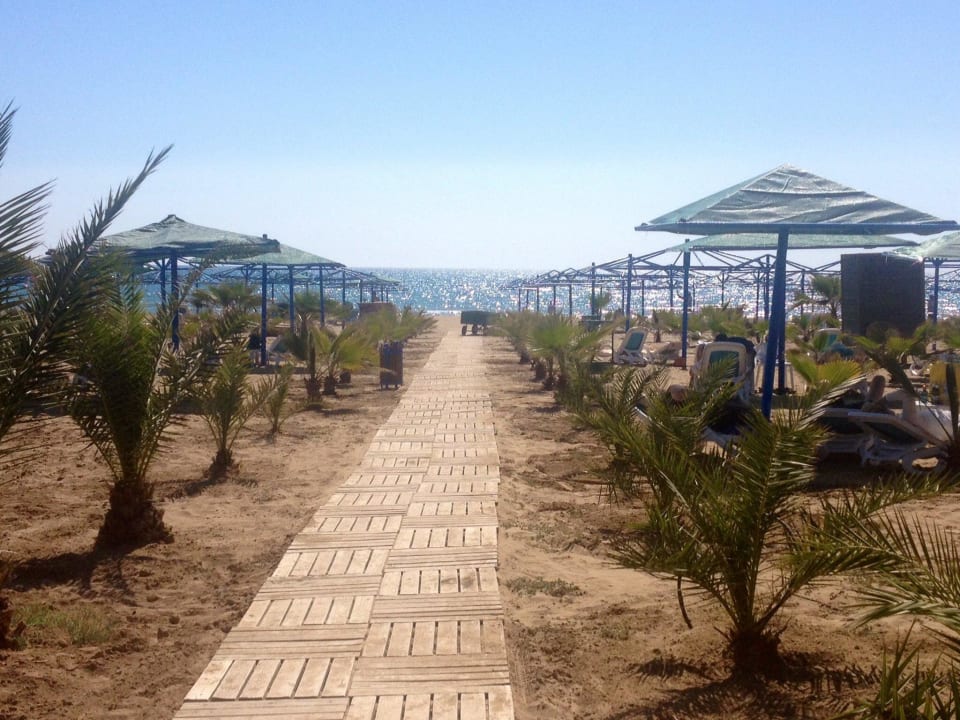 Blick von der Strandbar Richtung Meer  Paloma Oceana