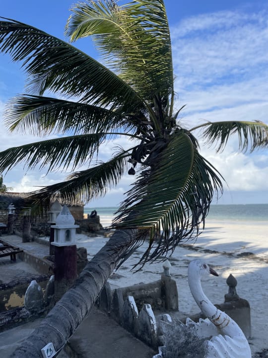 Strand Neptune Palm Beach Boutique Resort & Spa