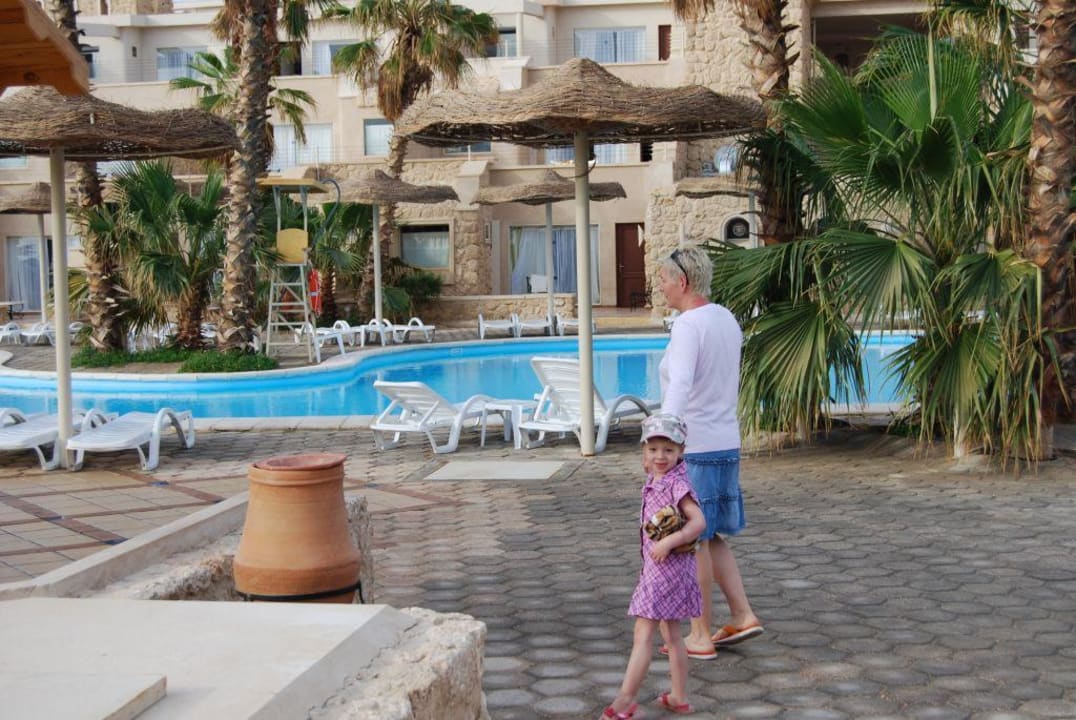 Pool Pickalbatros Citadel Resort