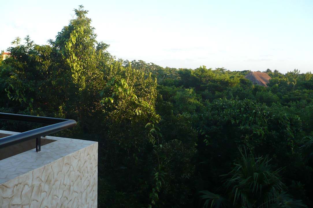 Morgens Blick vom Balkon Grand Palladium Kantenah Resort & Spa