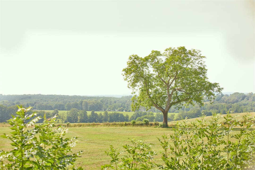 Ausblick Hotel Relais Königsberg