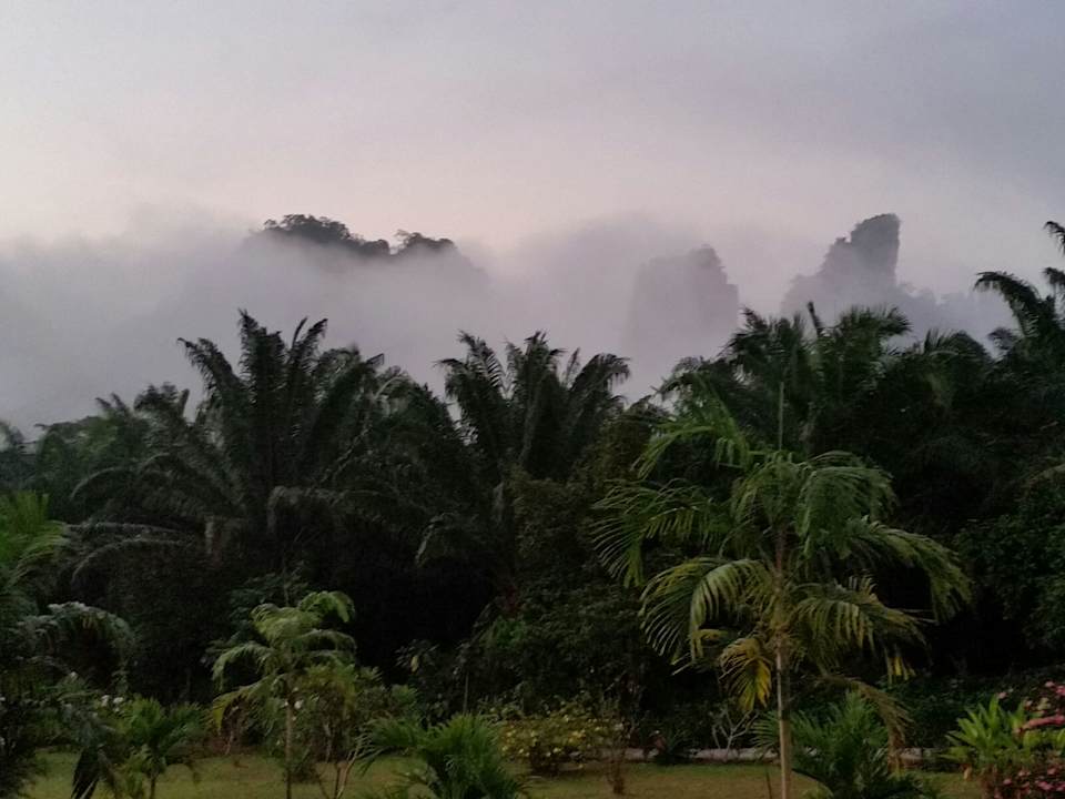 Gartenanlage Khao Sok Jasmine Garden Resort