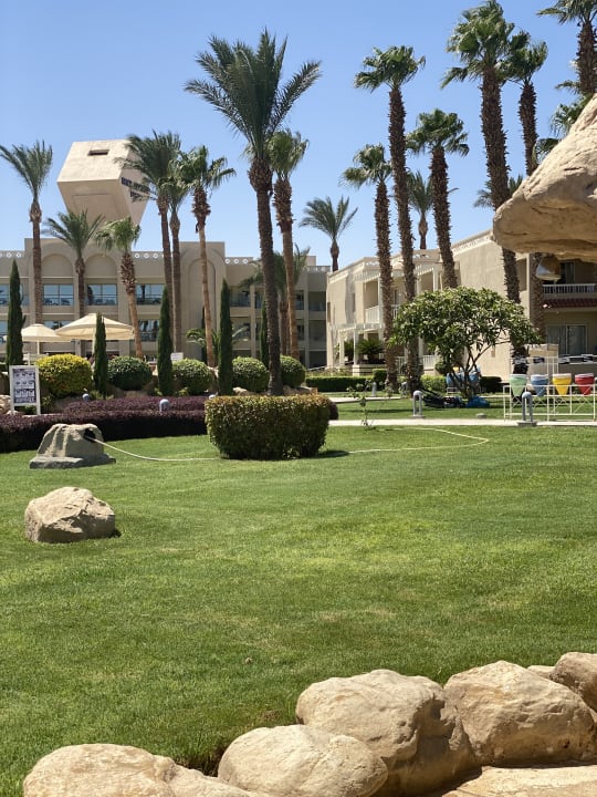 Gartenanlage Beach Albatros Resort