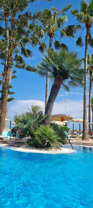 Pool CM Playa del Moro