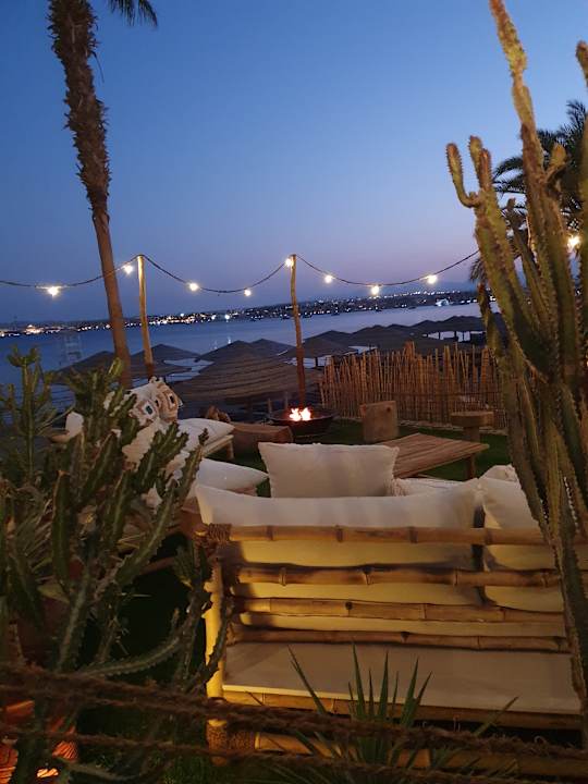 Lobby Fort Arabesque Resort, Spa & Villas