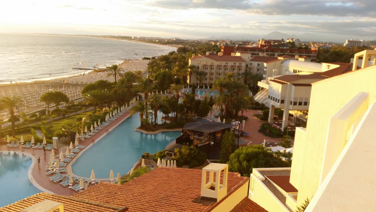 Morgens um 6 PALOMA Perissia