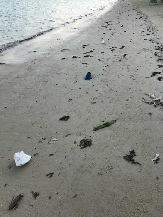 Strand Hotel Al's Hut