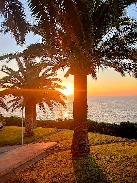 Zimmer blau punta reina