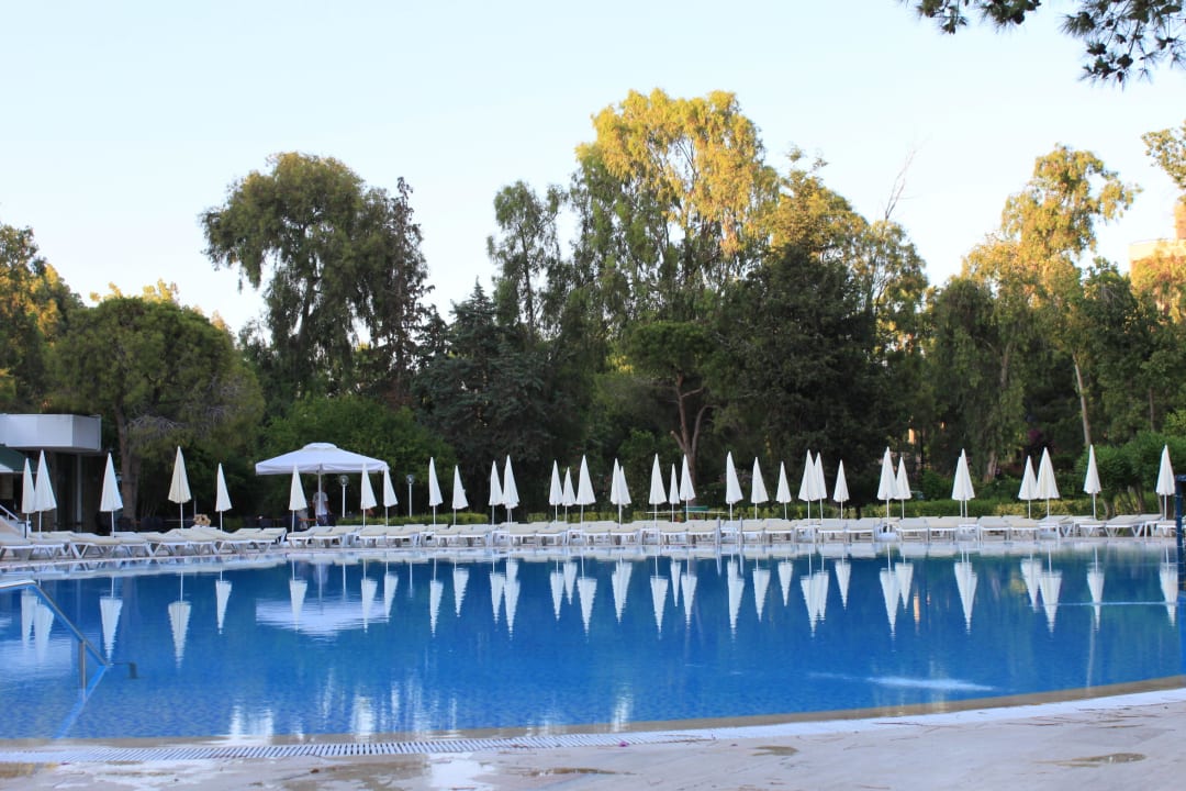Pool Asteria Collection Side