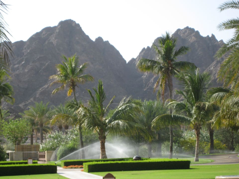 Das muss sein im Mai Al Bustan Palace - A Ritz-Carlton Hotel