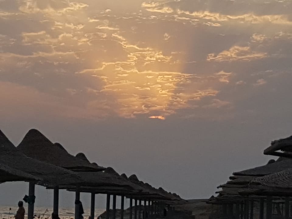 Ausblick Malikia Resort Abu Dabbab