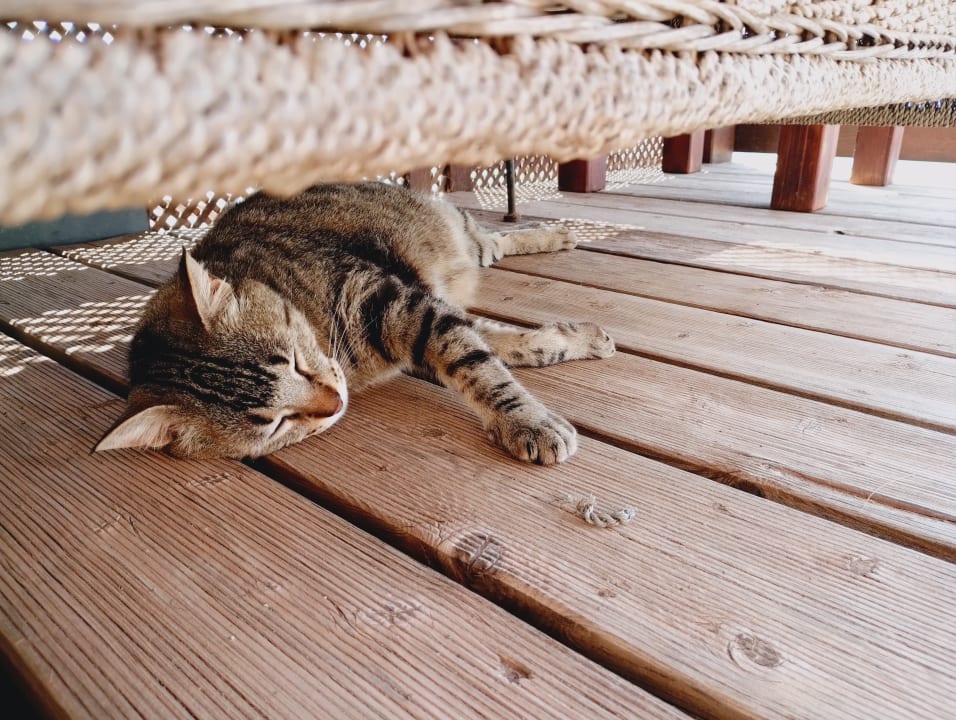 Außenansicht Marina Playa Suite Hotel