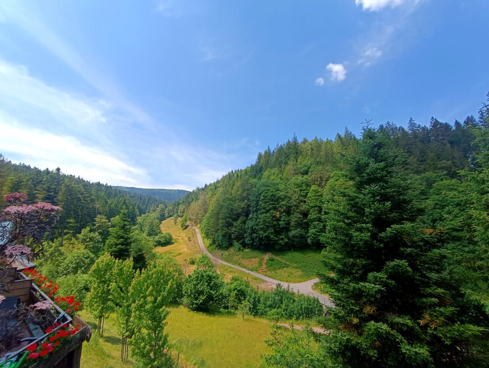 Ausblick Wellnesshotel Forsthaus Auerhahn