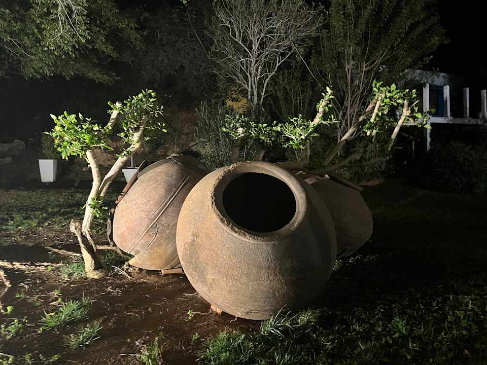 Gartenanlage Hotel Grecian Sands