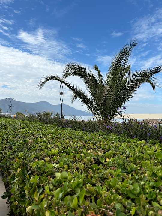 Ausblick Palm Wings Kusadasi Beach Resort & Spa