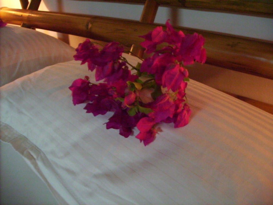 Blumen Angaga Island Resort