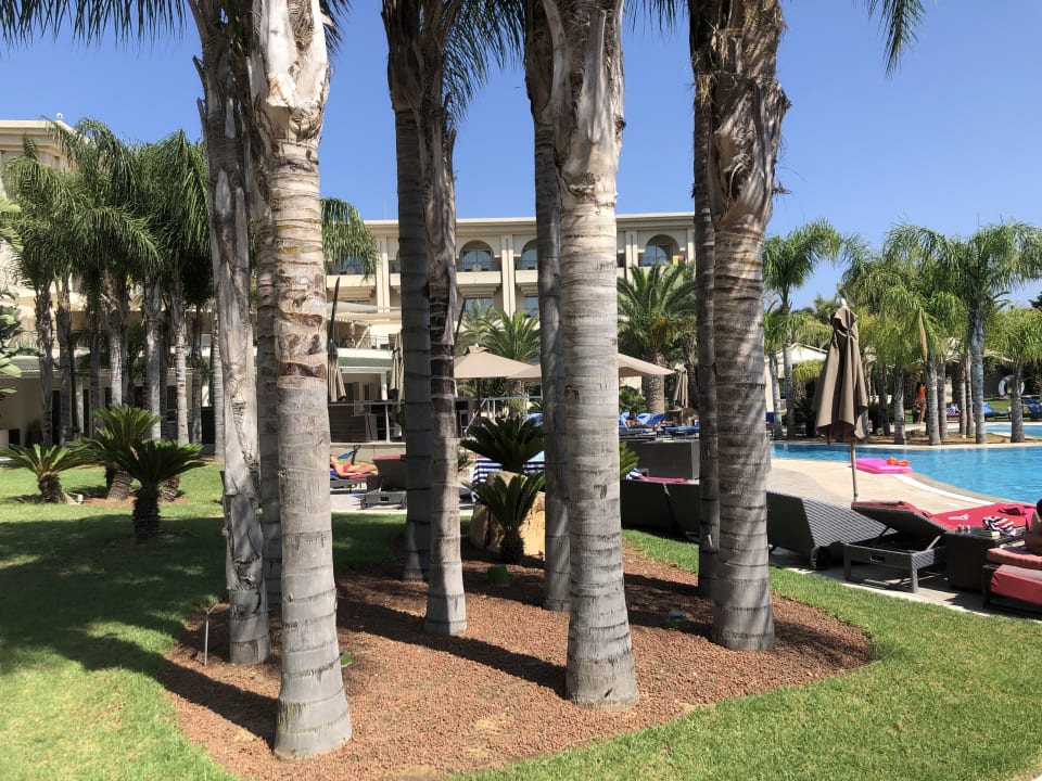 Garten The Russelior Hotel & Spa