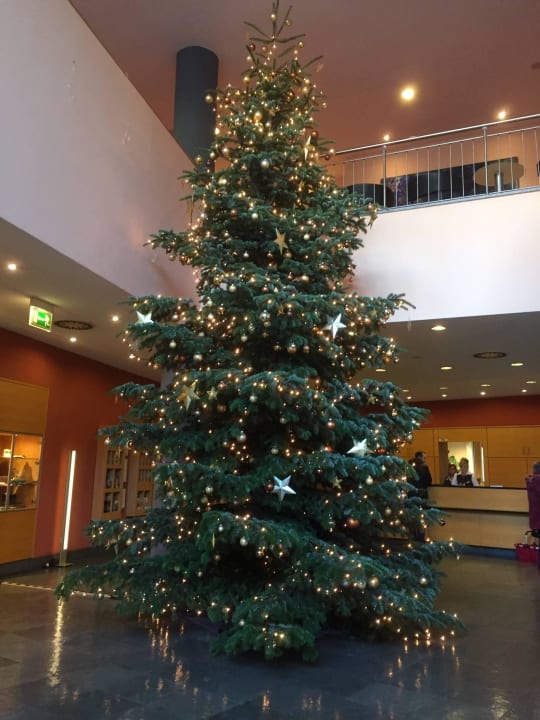 Tannenbaum Dorint Hotel Dresden