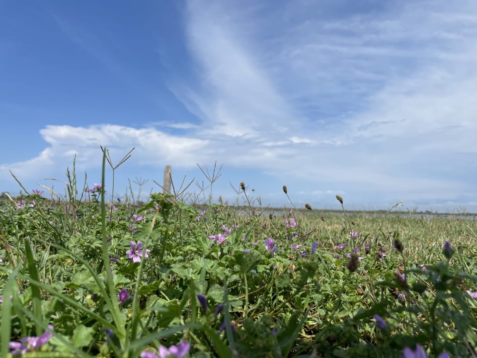 Ausblick Hotel Orient & Pacific