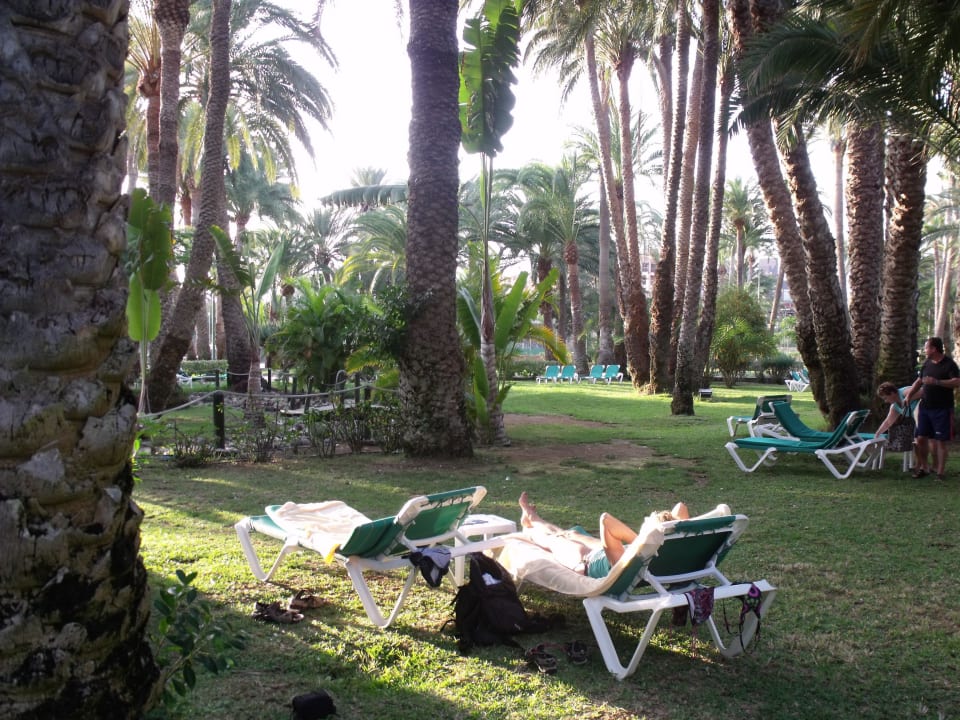 Liegewiese im Park Hotel Riu Palace Oasis